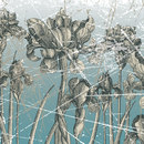 WALL & DECÒ Herbarium Wallcoverings / Wallpaper