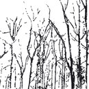 Black forest WALL & DECÒ
