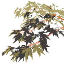 WALL & DECÒ Winter camou Papiers peint