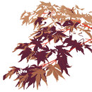 WALL & DECÒ Winter camou Wallcoverings / Wallpaper