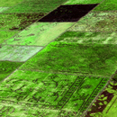 Miinu Industrial green-flash Moquette / Tappeti