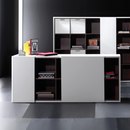 Forma 5 Vektor executive Storage / Filing