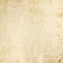 WALL & DECÒ Alphabetical swirl Wallcoverings / Wallpaper