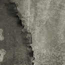 Walls WALL & DECÒ
