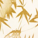 WALL & DECÒ Green area Papiers peint