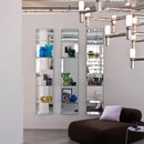 Former Miss bookcase Storage / Shelving