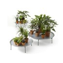 OFFECCT Green Trays Reception / Entrance area