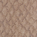 LL 1202 Mimosa | hydro Nanai