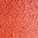 LL 1203 Strawberry | hydro Nanai