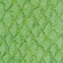 LL 1212 Lime | hydro Nanai