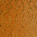 Nanai LL 1214 Pumpkin | hydro Leder: Möbelbezüge Material: Leder / Kunstleder Möbelfronten Wandbeläge / Tapeten