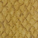LL 1219 Camel | hydro Nanai