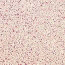 Logos Rosa (746) glass tile Bisazza