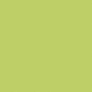S212 - Light Green Rosskopf & Partner