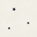 Bisazza 3 Stars White glass tile Azulejos de pared Baldosas de suelo Material: vidrio Suelos de vidrio Vidrio: azulejos Vidrio: suelos