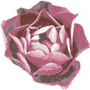 Bisazza Rosa Rosa mosaic Materiale: Vetro Mosaici Mosaici per pareti Pavimenti in vetro
