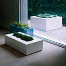 De Castelli Easy Complements Living-room / Office complements Planting