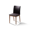 Olly H5 die Collection