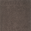 Stepevi Coral Teppichböden / Teppiche