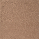 Stepevi Coral Teppichböden / Teppiche