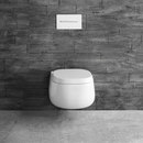 antoniolupi Abol Toilet
