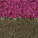 Lace Carpet Almedahls
