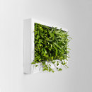Greenworks Greenscreen Accessoires d'habitat / de bureau