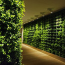 Greenworks Plant Walls Accessoires d'habitat / de bureau Murs verts