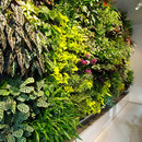 Greenworks Plant Walls Living-room / Office complements Plant walls / Green walls