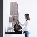 Living Divisum Élément mural ouvert en bois Valcucine