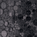 Stepevi Sphere Moquette / Tappeti