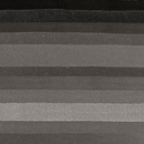 Parquet Stepevi