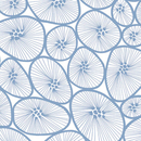 Korall white I blue BANTIE