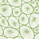 Korall white I green BANTIE