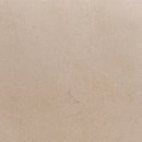 Sahara - Beige Kale