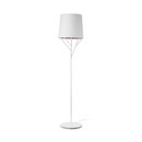 Tree 29869 Faro