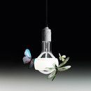 Ingo Maurer Johnny B. Butterfly Suspended lights