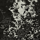 Living Divani Ice flowers Carpets / Rugs
