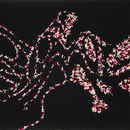 Embroidery Ebony 501 Kasthall