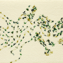 Embroidery Ivory 801 Kasthall
