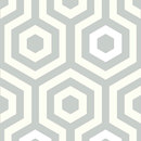 Hexágono 1961-4 Tres Tintas Barcelona