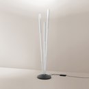 Micro Telescopic Pallucco