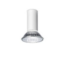 Naked A Ceiling lamp Vertigo Bird