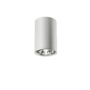Naked D Ceiling lamp Vertigo Bird