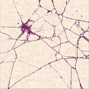 Chevalier édition Marble Break Carpets / Rugs