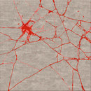 Chevalier édition Marble Break Carpets / Rugs