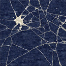 Chevalier édition Marble Break Carpets / Rugs