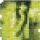 Chevalier édition Miroir Green Carpets / Rugs