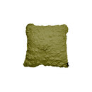 Corallo cushion kiwi Poemo Design
