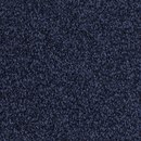 Frisea Vorwerk